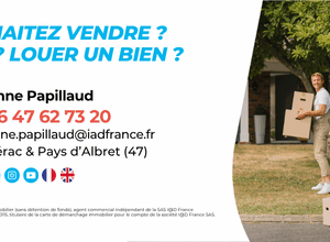 ANNE PAPILLAUD IAD FRANCE