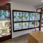 BIJOUTERIE DESCAMPS BIJOUTERIE DESCAMPS