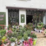 COCKTAIL FLEURI – Sophie Lhommeau COCKTAIL FLEURI – Sophie Lhommeau