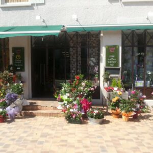 COCKTAIL FLEURI – Sophie Lhommeau COCKTAIL FLEURI – Sophie Lhommeau