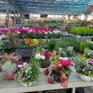 JARDINERIE DULONG JARDINERIE DULONG