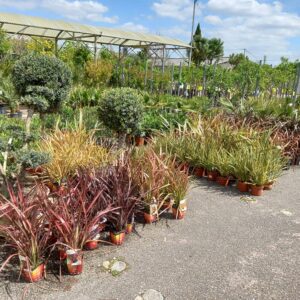 JARDINERIE DULONG JARDINERIE DULONG