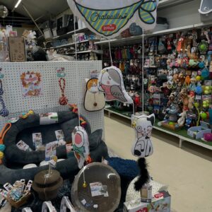 GRAINES & JARDIN CHEZ MESTÉ GRAINES & JARDIN CHEZ MESTÉ