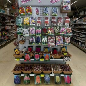 GRAINES & JARDIN CHEZ MESTÉ GRAINES & JARDIN CHEZ MESTÉ