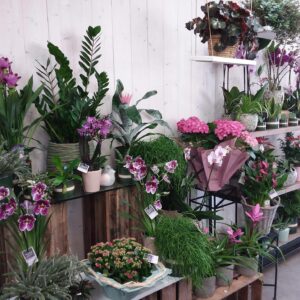 ROSALBRET – Valérie Fouyssac ROSALBRET – Valérie Fouyssac