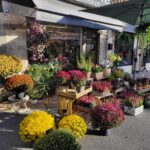 ROSALBRET – Valérie Fouyssac