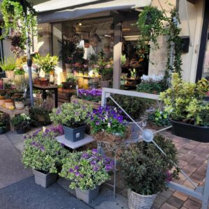 ROSALBRET – Valérie Fouyssac ROSALBRET – Valérie Fouyssac