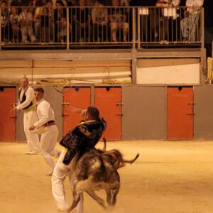 STUDIO VICENTE STUDIO VICENTE